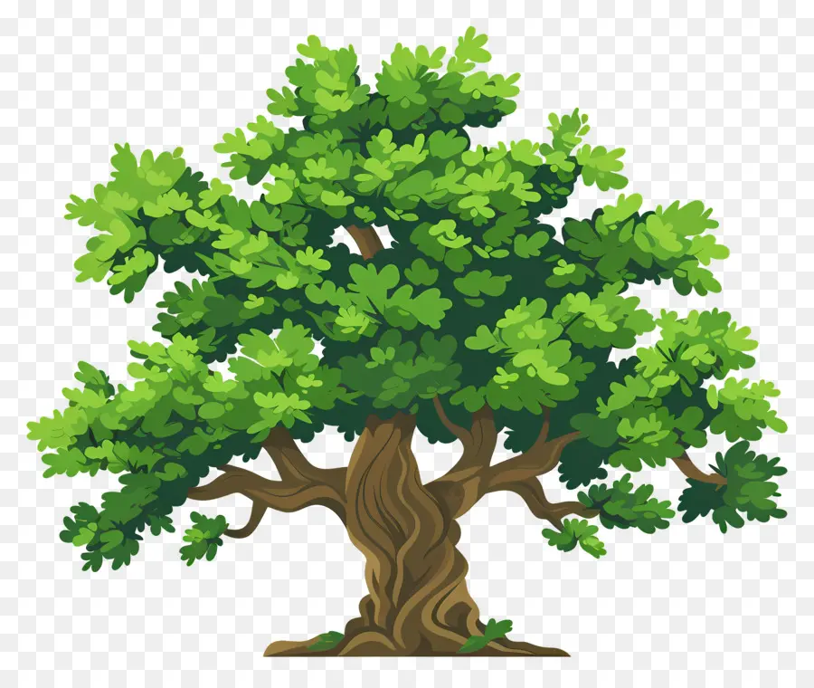 Roble，árbol Realista PNG