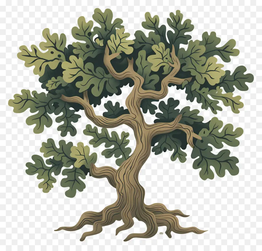 Roble，árbol Realista PNG