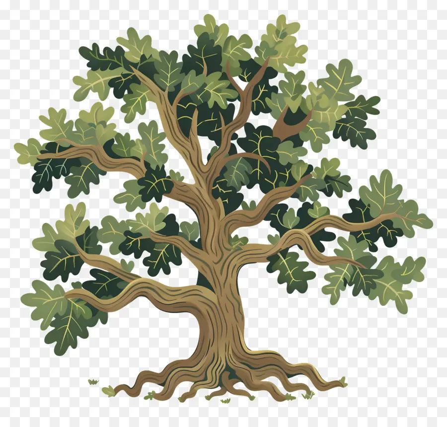 Roble，árbol Realista PNG