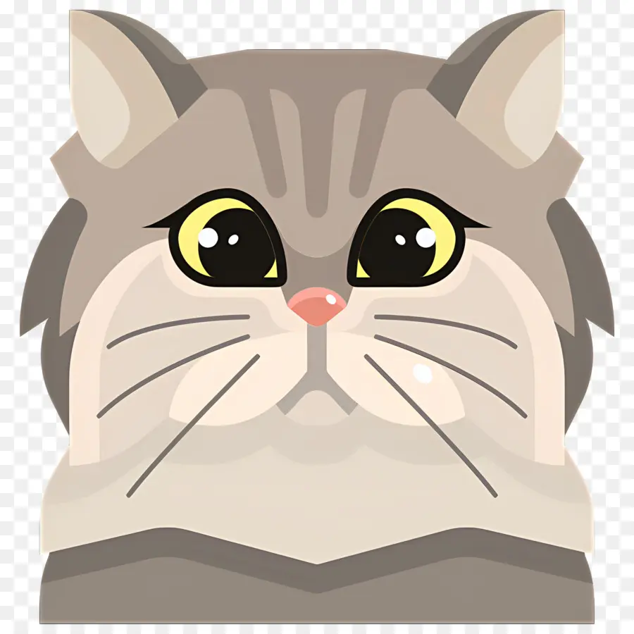 Emojis De Gato，Gato Sorprendido PNG