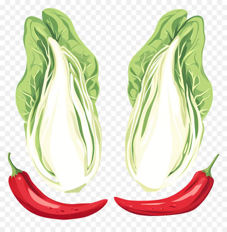 Logotipo De Kimchi，Lechuga Y Chile PNG