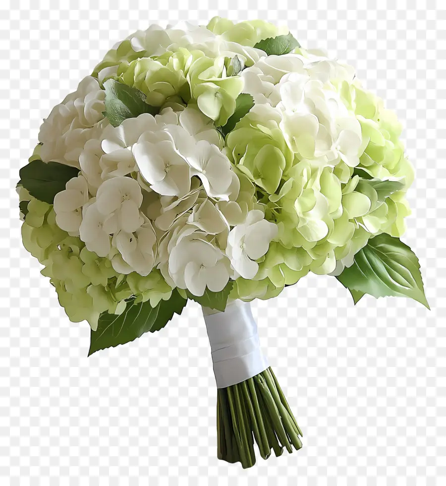 Ramo De Novia，Ramo De Hortensias Verdes Y Blancas PNG