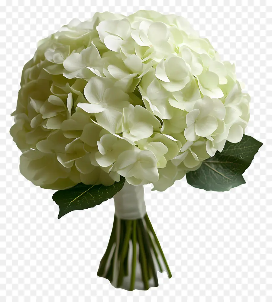 Ramo De Novia，Ramo De Hortensias Verdes Y Blancas PNG