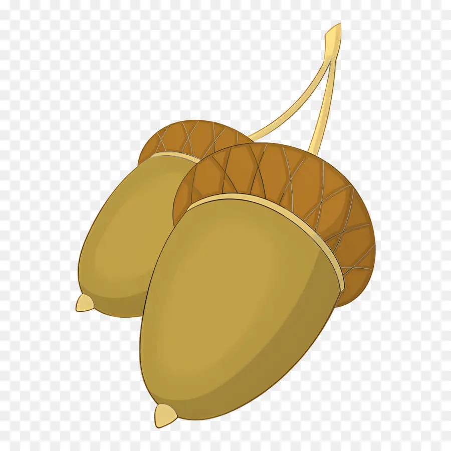 Bellota，Par De Bellotas PNG