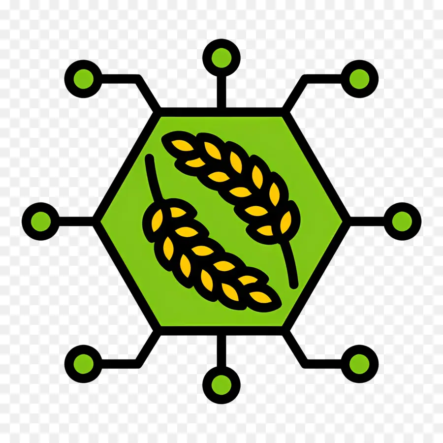 La Tecnología Crece，Red Agrícola PNG