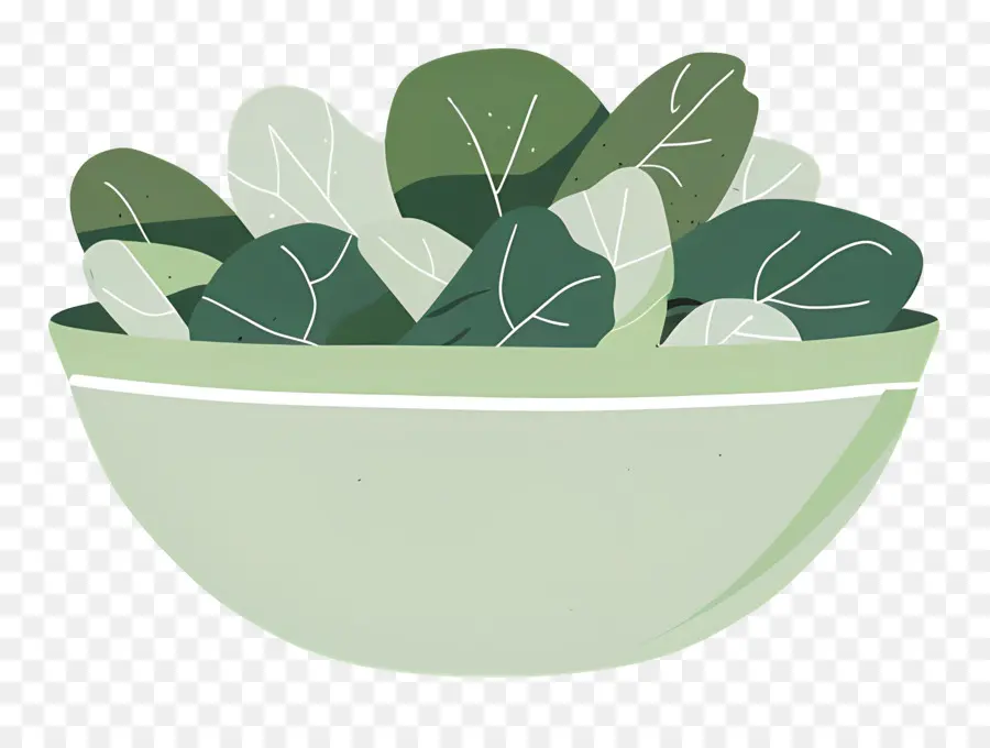 Ensalada Verde，Ensalada De Hojas Verdes PNG