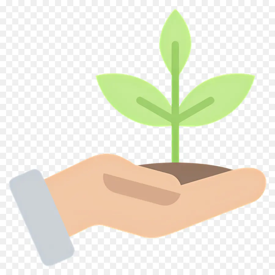 Sostenibilidad，Mano Con Planta PNG