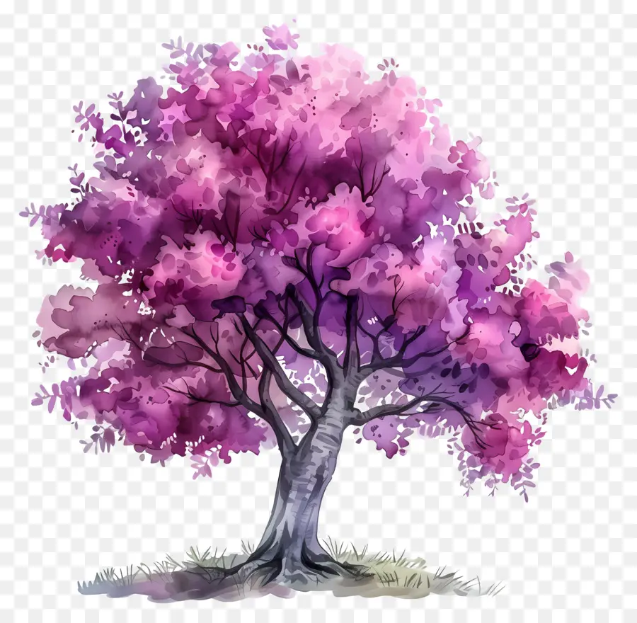 árbol De Acuarela，árbol Morado PNG