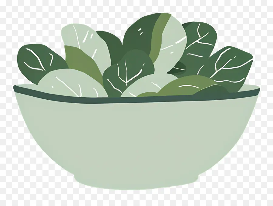 Ensalada Verde，Hojas Verdes PNG