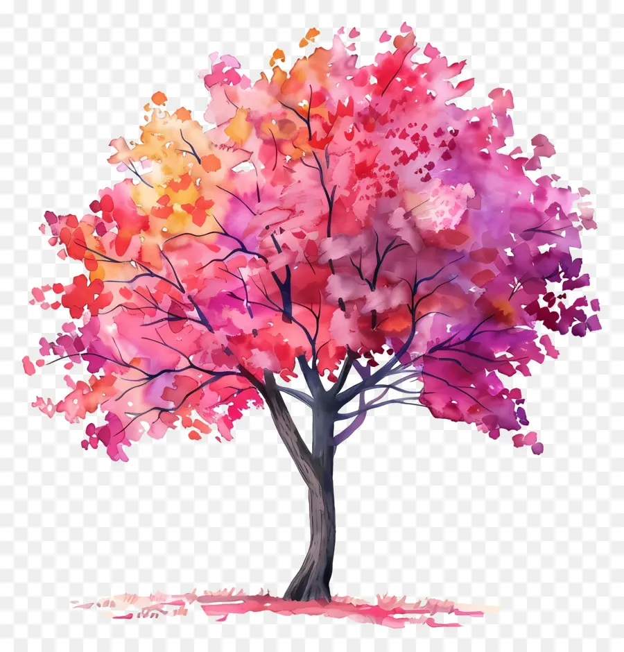 árbol De Acuarela，árbol Colorido PNG