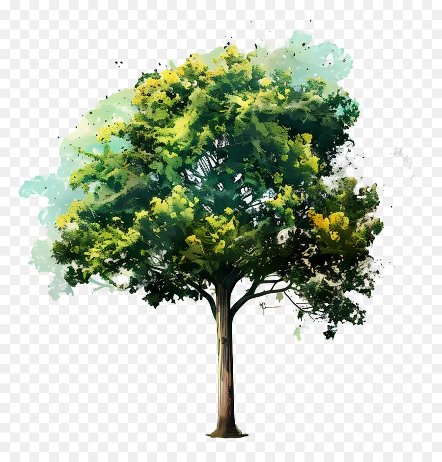 árbol De Acuarela，árbol Verde PNG