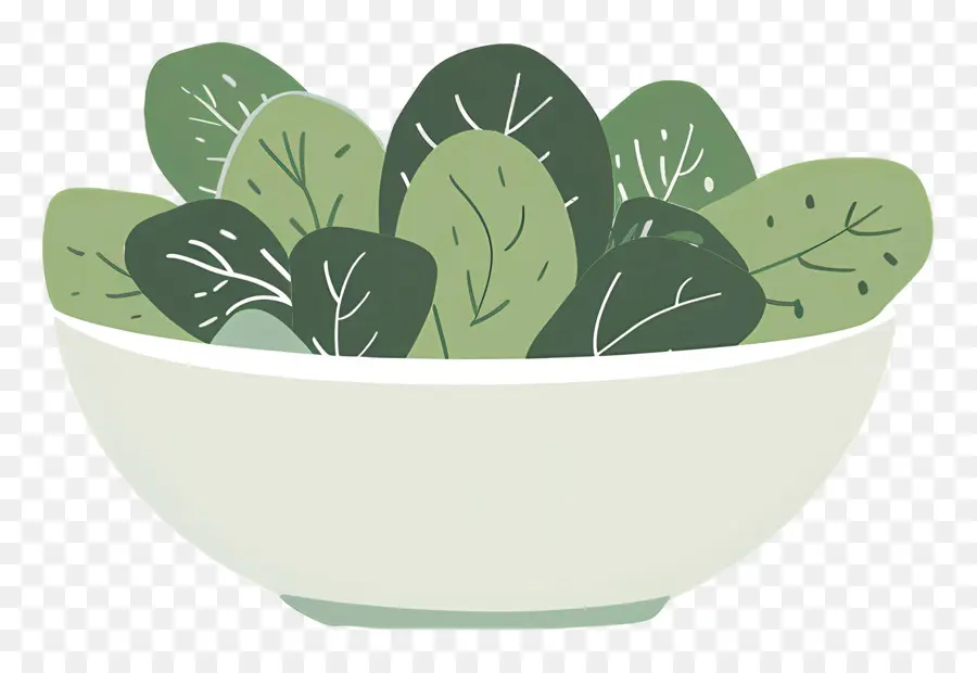 Ensalada Verde，Ensalada De Hojas Verdes PNG