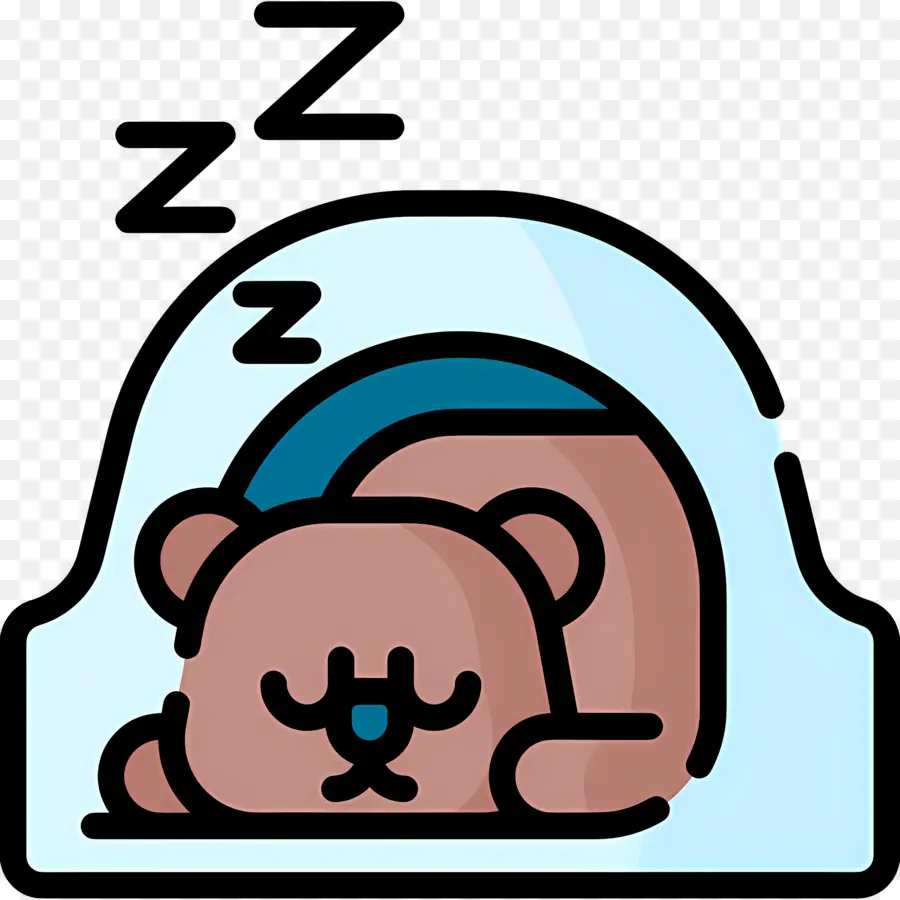 Dormir Zzz，Oso Durmiente PNG