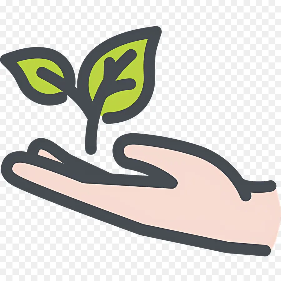 Sostenibilidad，Mano Con Planta PNG