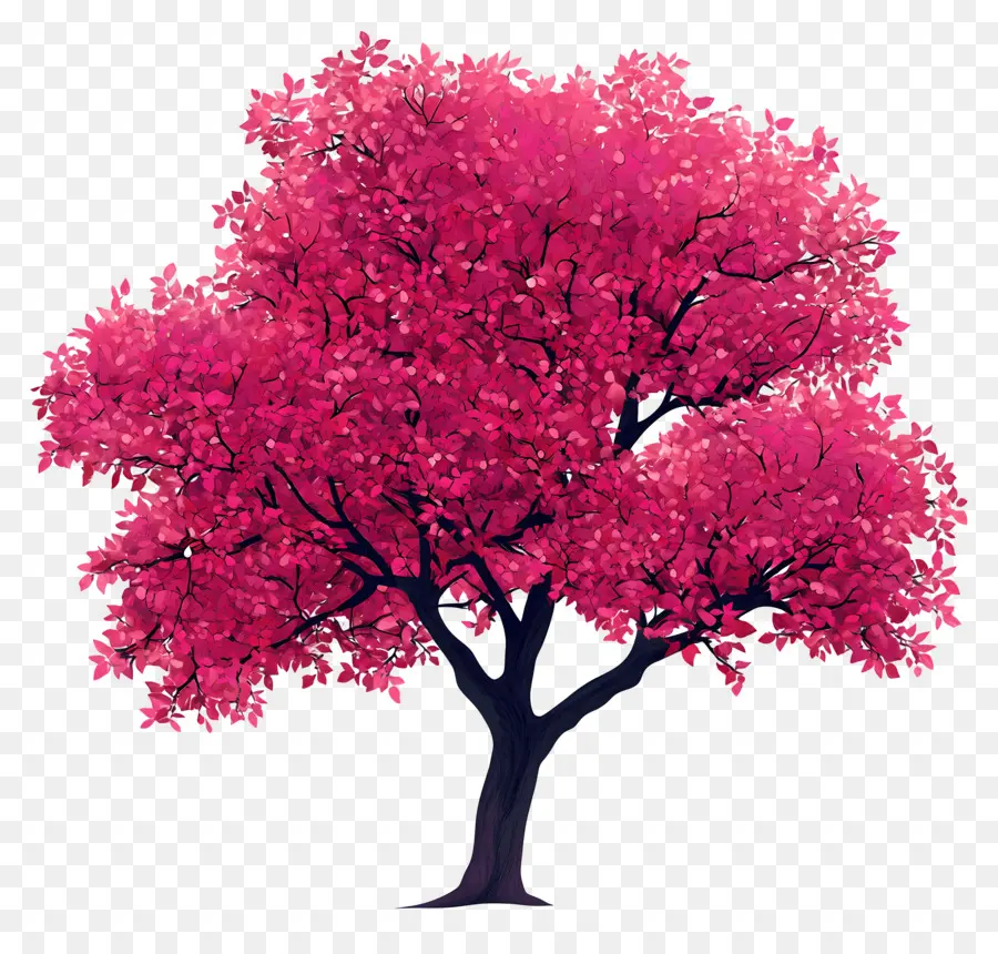 Plano De árbol，árbol Rosa PNG