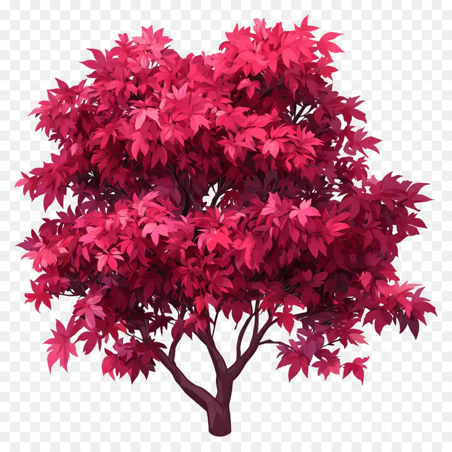 Plano De árbol，árbol Rosa PNG