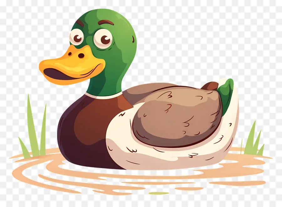 Dibujos Animados De Pato，Pato En Agua PNG