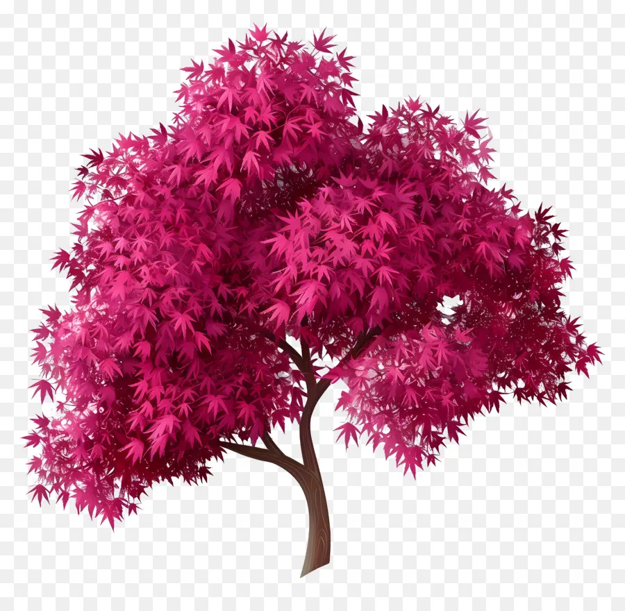 Plano De árbol，árbol Rojo PNG