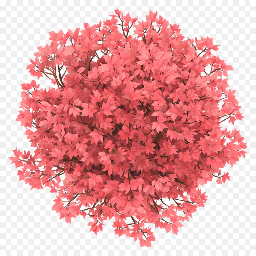 Plano De árbol，Arbusto Rosa PNG