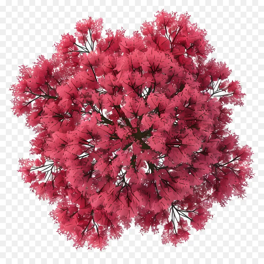 Plano De árbol，Hojas Rosadas PNG