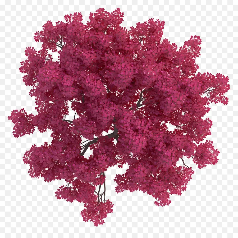 Plano De árbol，Racimo De Flores Rosadas PNG