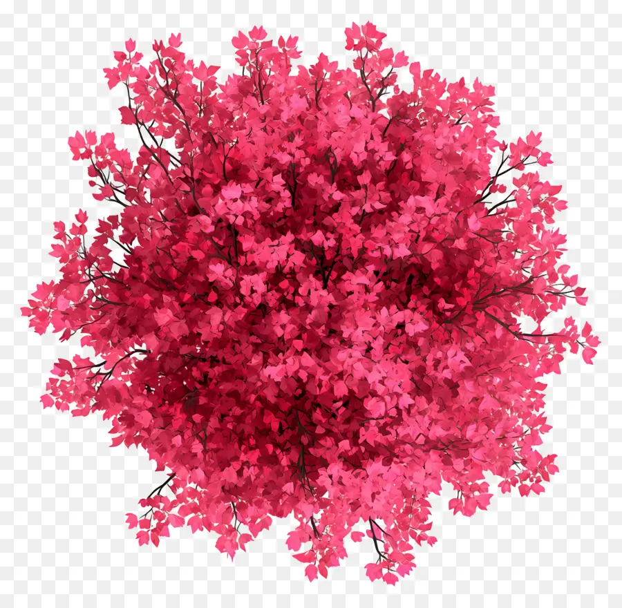 Plano De árbol，Flores Rosadas PNG