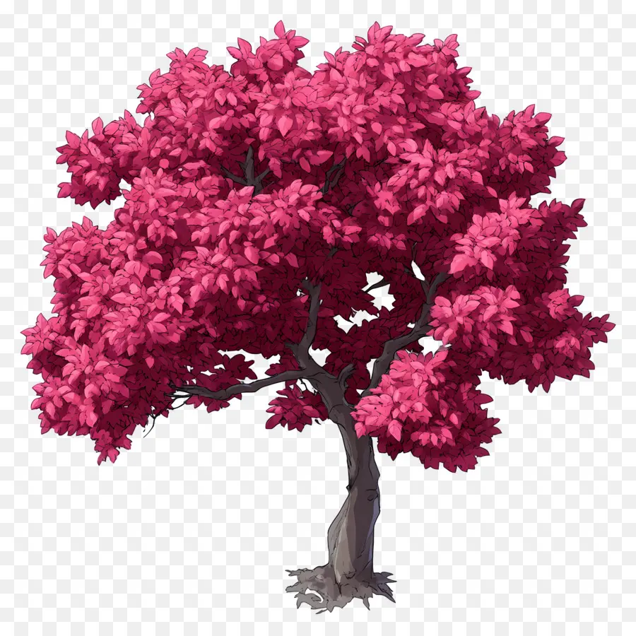 Plano De árbol，árbol Rosa PNG