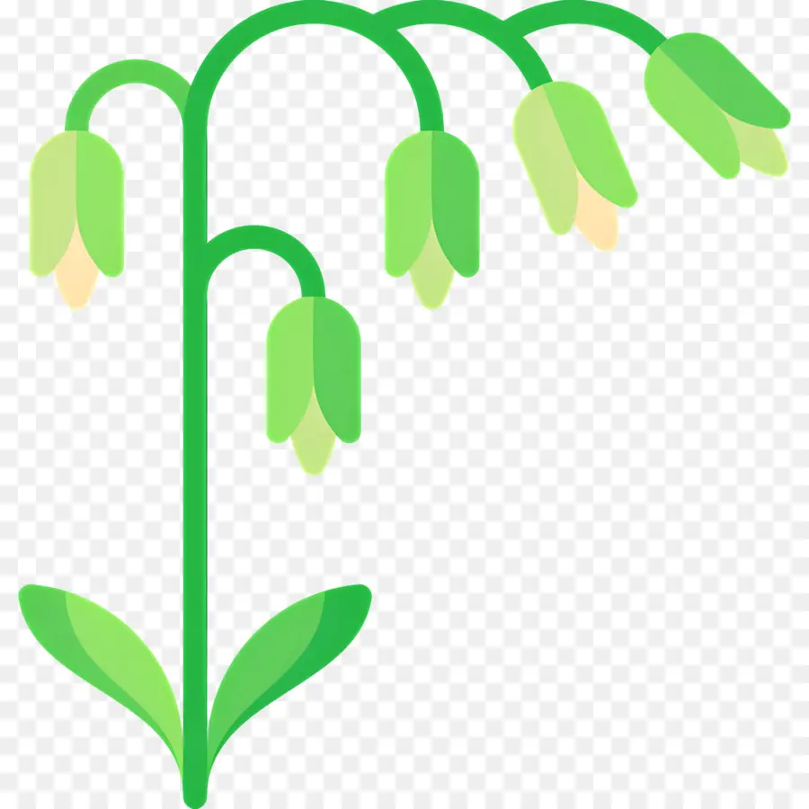 Avena，Planta Verde PNG