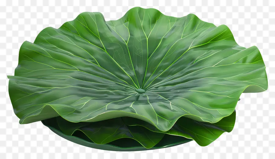 Hoja De Loto，Hojas De Loto Verde PNG