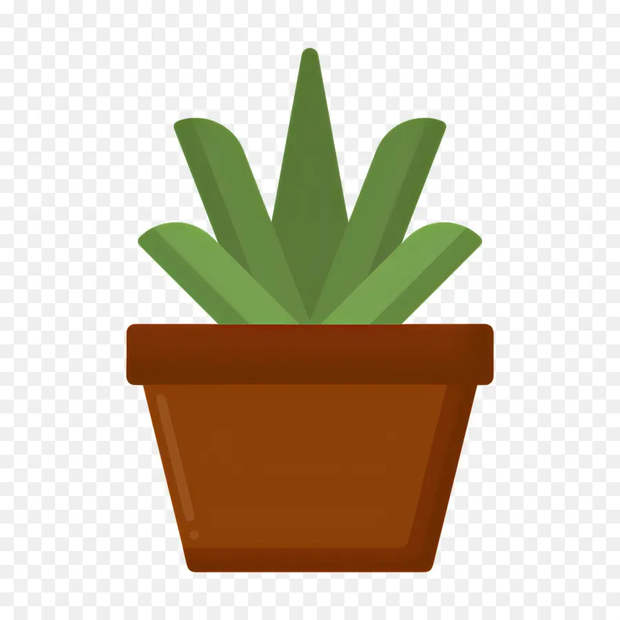 áloe Vera，Aloe Vera En Maceta PNG