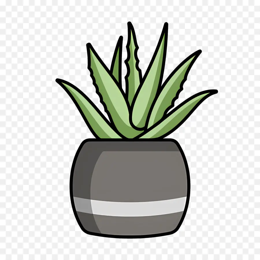 áloe Vera，Planta En Maceta PNG