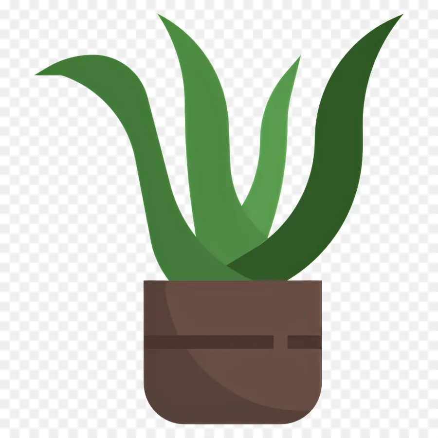 áloe Vera，Aloe Vera En Maceta PNG