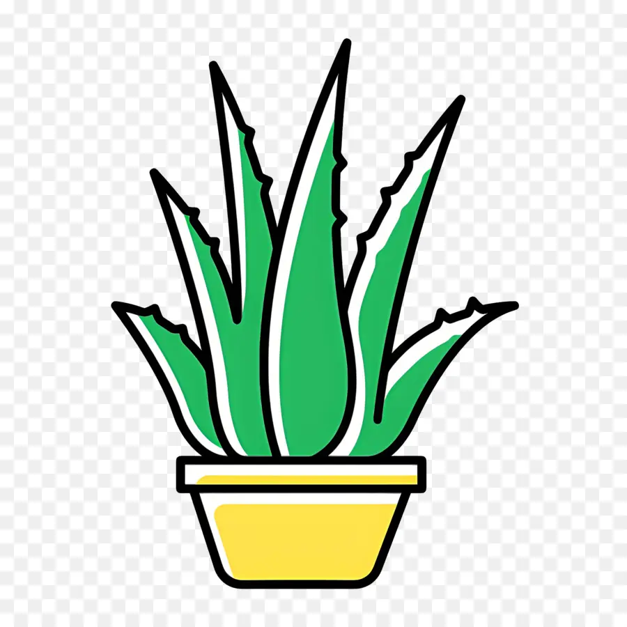 áloe Vera，Aloe Vera En Maceta PNG