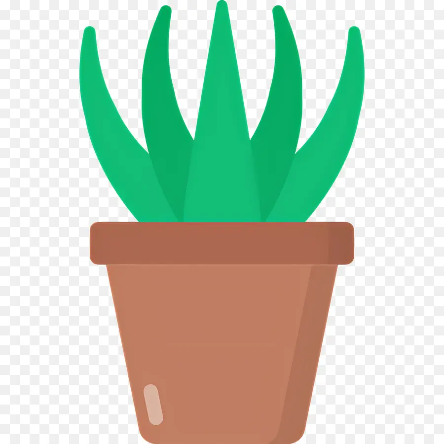 áloe Vera，Aloe Vera En Maceta PNG