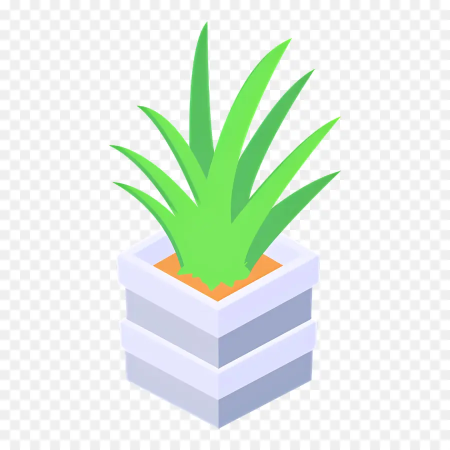 áloe Vera，Planta En Maceta PNG