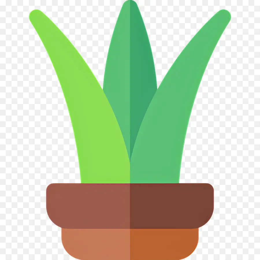 áloe Vera，Aloe Vera En Maceta PNG