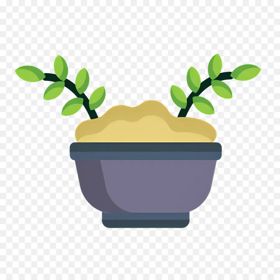 Avena，Planta En Maceta PNG