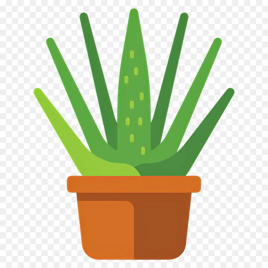 áloe Vera，Aloe Vera En Maceta PNG