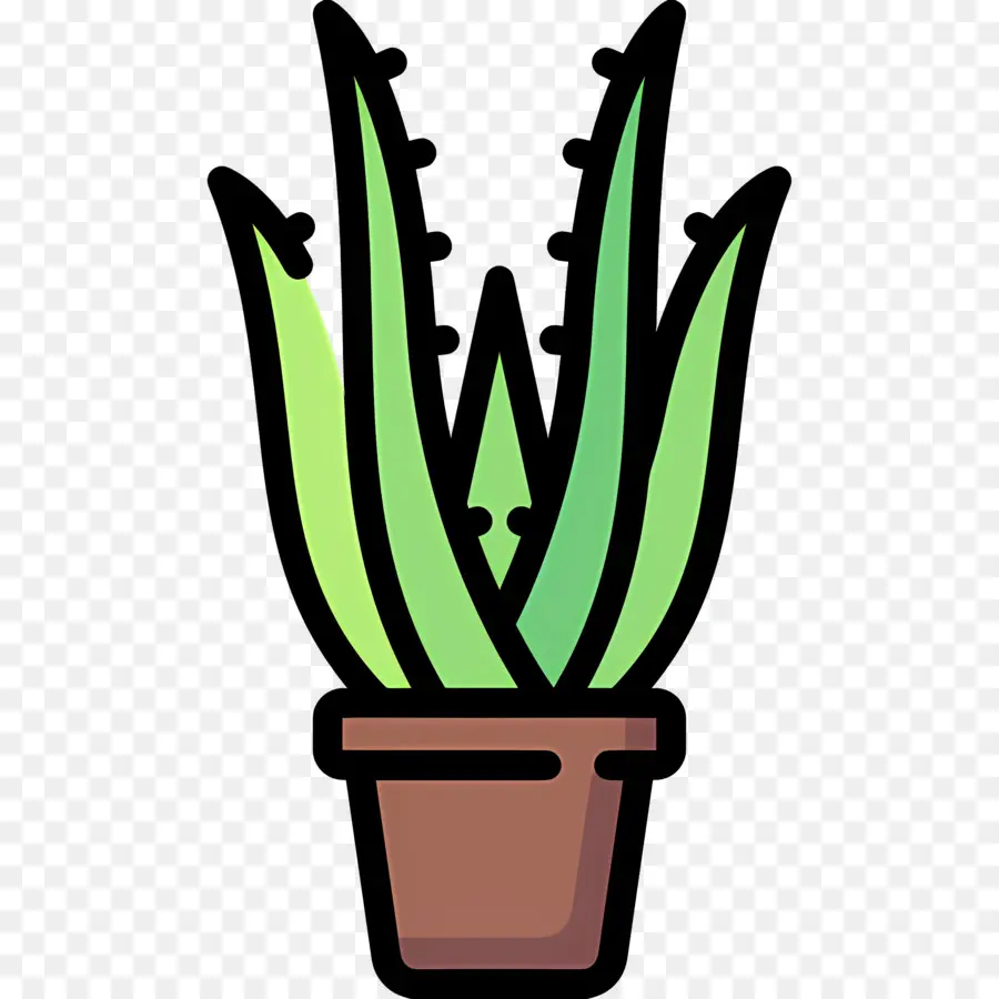 áloe Vera，Aloe Vera En Maceta PNG