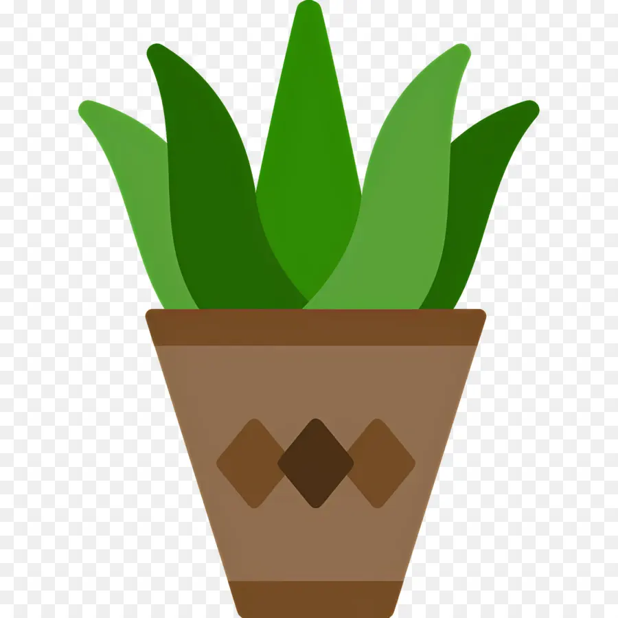 áloe Vera，Planta En Maceta PNG