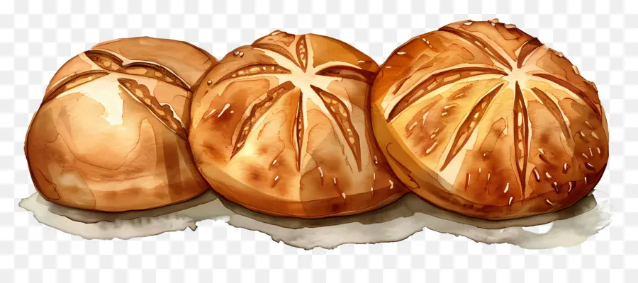 Pan Dulce Mexicano，Pan PNG