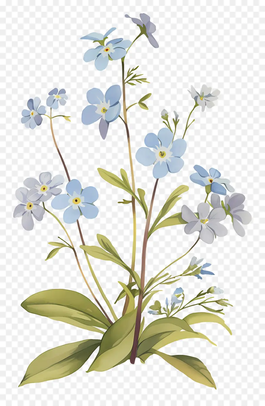 No Me Olvides Flor，Flores Azules PNG