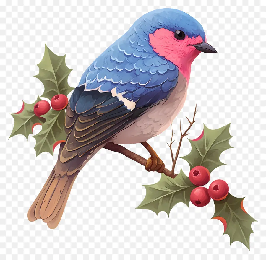 Pájaro De Invierno，Pájaro Azul PNG