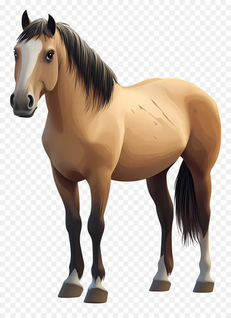 Vaquero，Cabeza De Caballo PNG