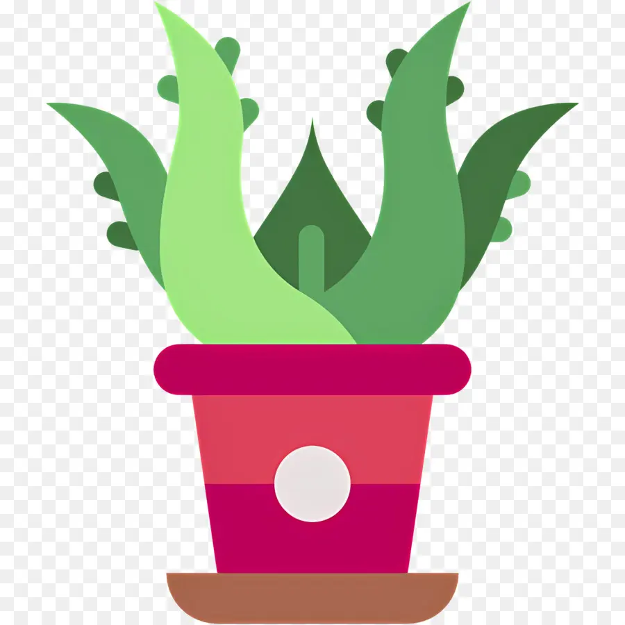 áloe Vera，Planta En Maceta PNG