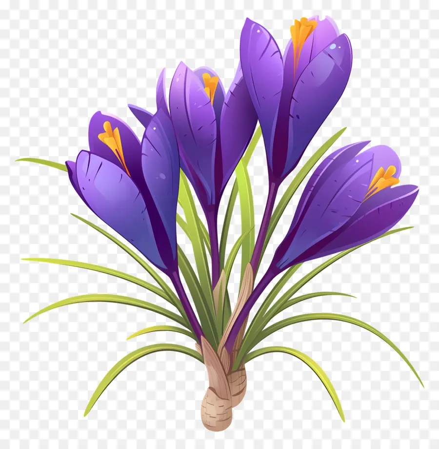 Azafrán，Flor Morada PNG