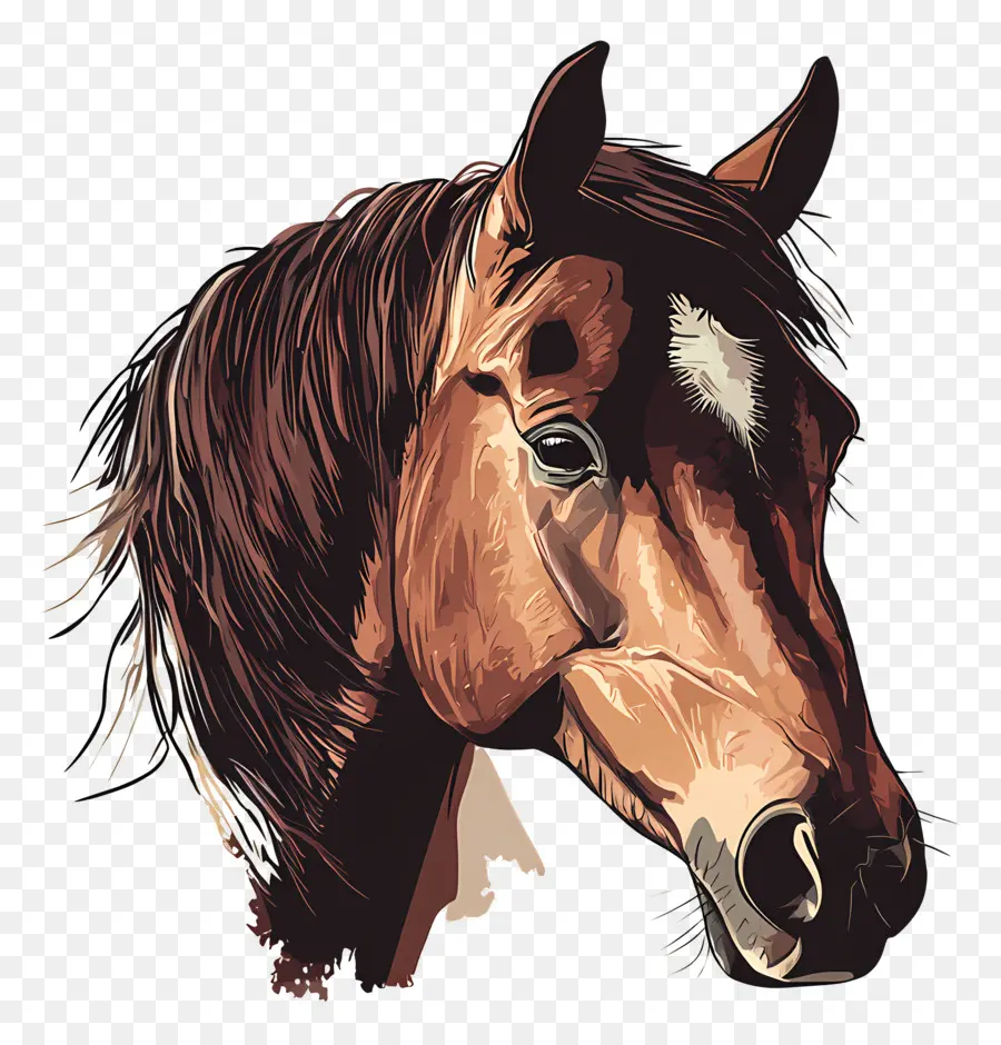 Vaquero，Caballo Negro PNG