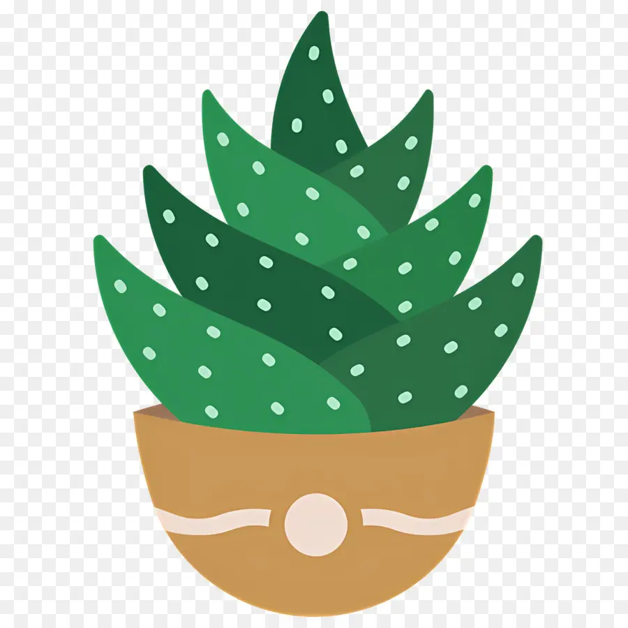 áloe Vera，Planta En Maceta PNG