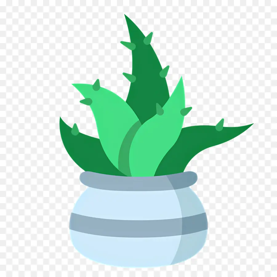 áloe Vera，Planta En Maceta PNG