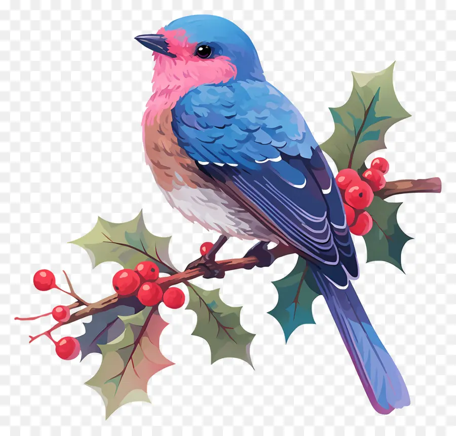 Pájaro De Invierno，Pájaro Azul PNG